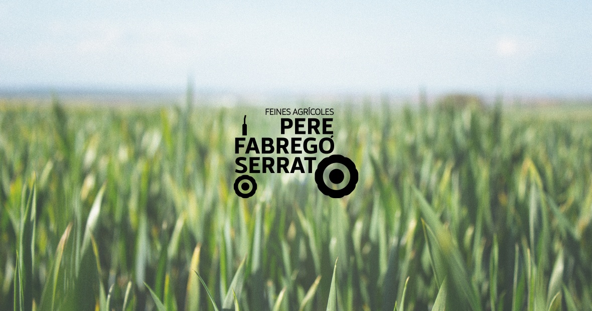 pere-fabrego-beh-02